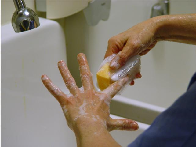 Image result for scrub your hands