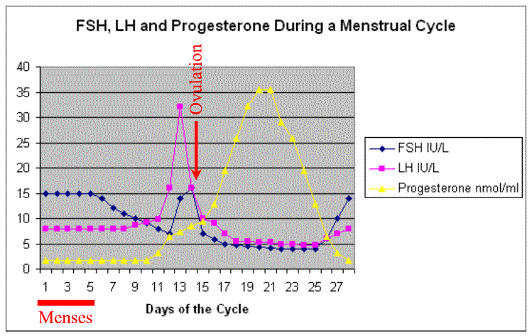 constant bleeding after period