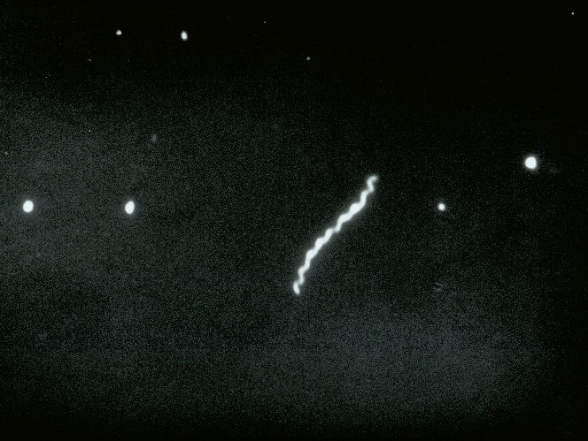 darfield microscopy