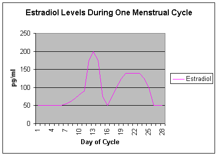 estradiol levels during the menstrual cycle