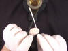 Knot tying