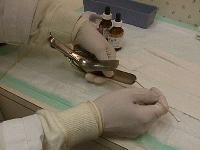 Obtain a specimen