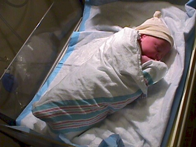 It is very important to keep the newborn warm.