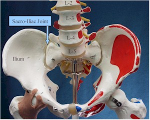 Sacroiliac joint
