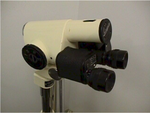 Colposcopy Video