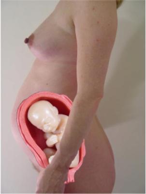 Pregnancy Video