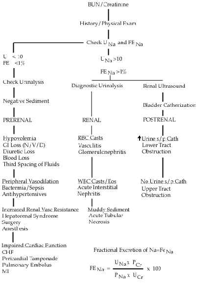 wpe1.jpg (25592 bytes)