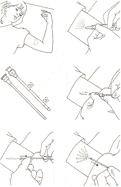NPInsert250.gif (11493 bytes)