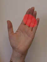 hand_small.jpg (2558 bytes)