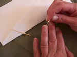 Fingernail.jpg (48077 bytes)