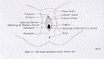 hm1_1.gif (55066 bytes)