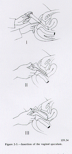 hm1_3.gif (46476 bytes)