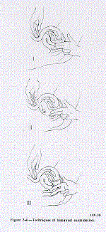 hm1_4.gif (52727 bytes)