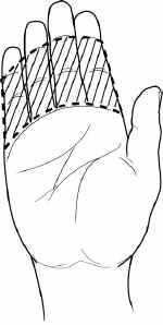 DrawHand.jpg (31301 bytes)