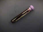 Purpletop.jpg (49095 bytes)