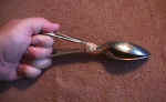 SpoonSpecInsert.jpg (67309 bytes)
