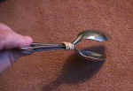 SpoonSpecOpen.jpg (62170 bytes)