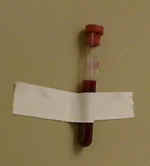Walltape.jpg (19273 bytes)