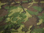Camo.jpg (60571 bytes)