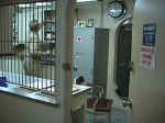 Pharmacy.jpg (68002 bytes)
