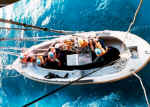 SmallBoat640.jpg (61227 bytes)