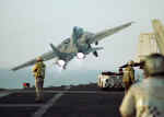 Tomcat640.jpg (28873 bytes)