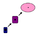 cervical skin cell maturation