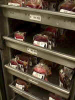 BloodBank1.jpg (84598 bytes)