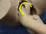 Shoulder rotation