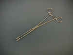 RingForceps.jpg (35901 bytes)
