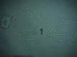 Yeast high power