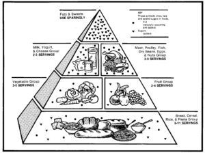 Food Guide Pyramid.