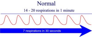 Graphic showing normal breathing.