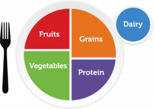 MyPlate - USDA recommendations for daily diet.